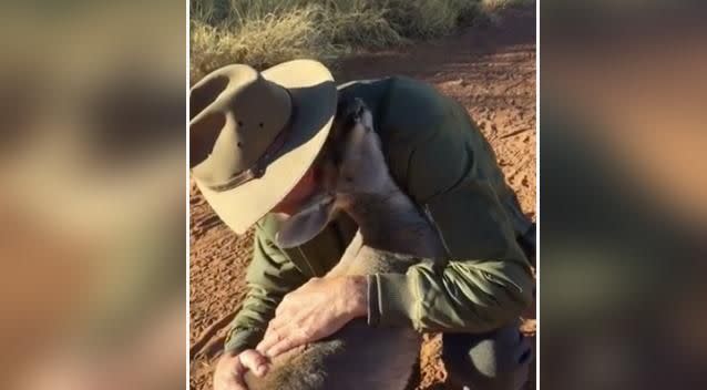 The man rescued the kangaroo 11 years ago. Source: Facebook / The Kangaroo Sanctuary Alice Springs
