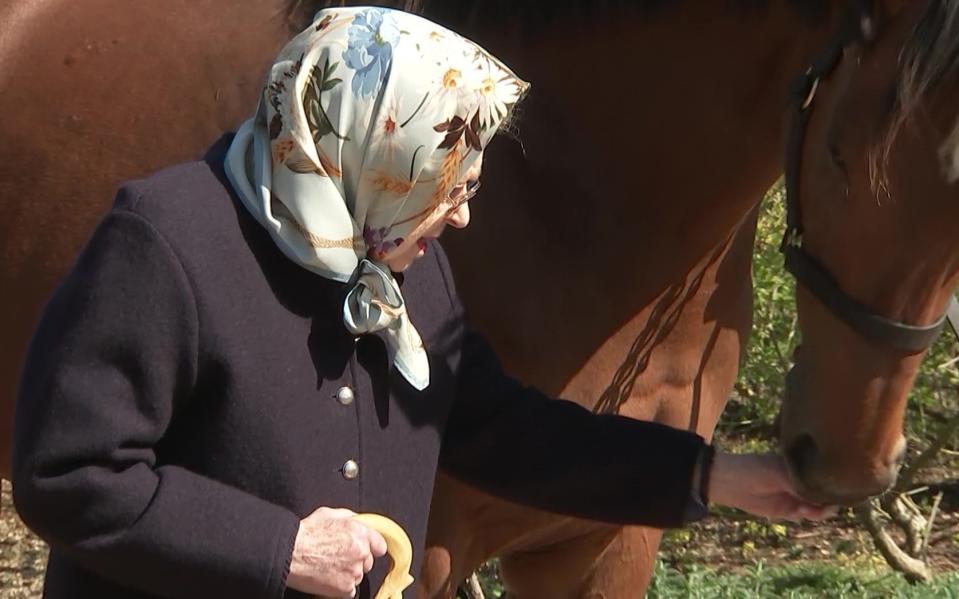 The Queen - 'The Queen comes out with a bag of chopped carrots, and off she toodles back to the castle a happy lady' - ITV RACING