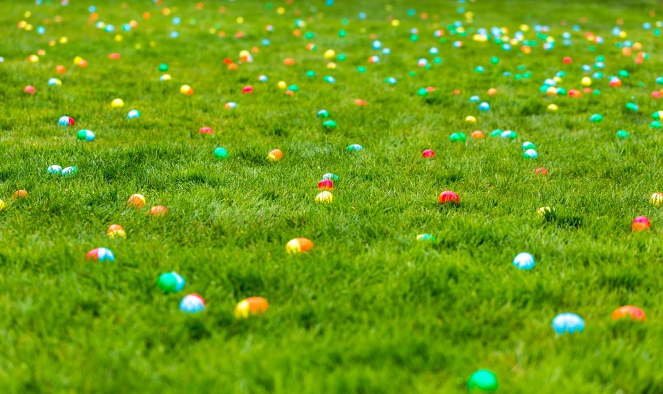 Numerous egg hunts and other Easter-related events are taking place in Erie and Crawford counties.