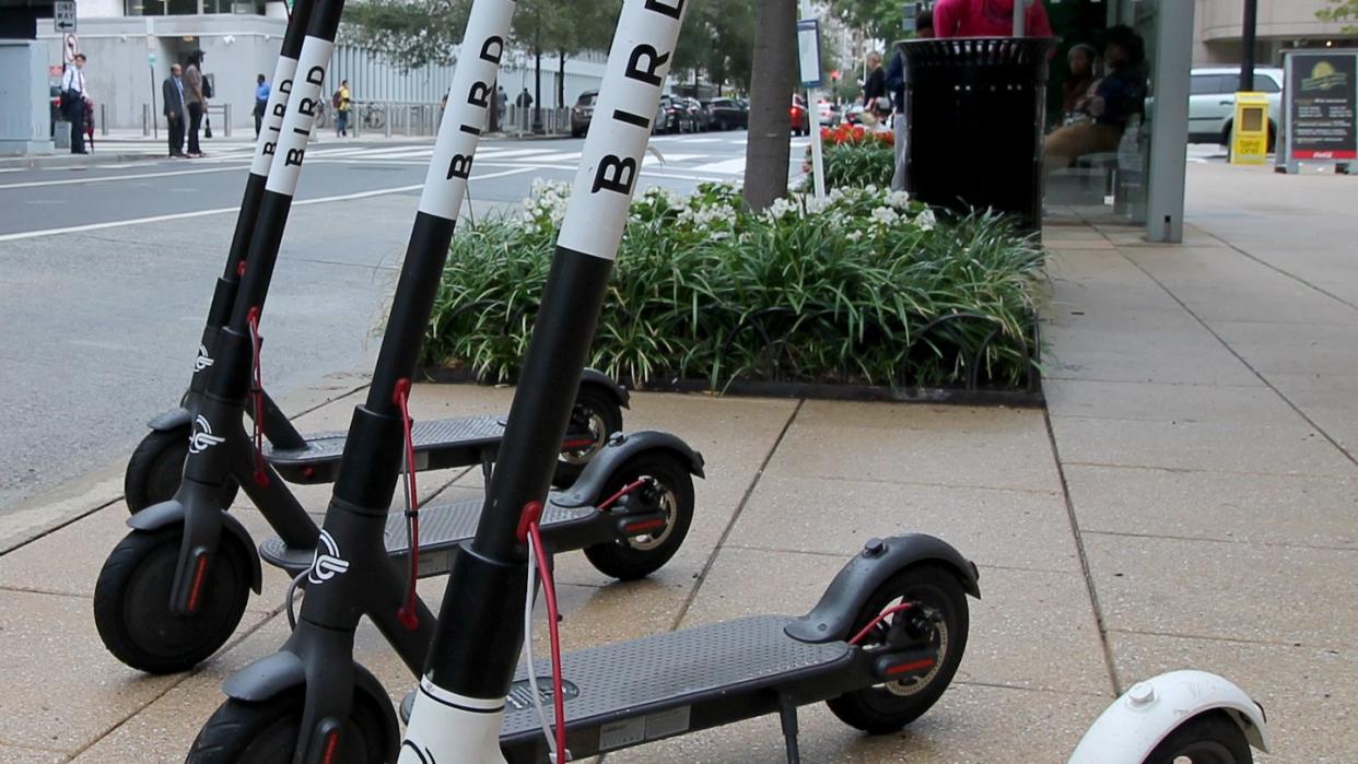 Tretroller mit Elektroantrieb des Anbieters Bird. Sie werden per App freigeschaltet und können überall abgestellt werden.