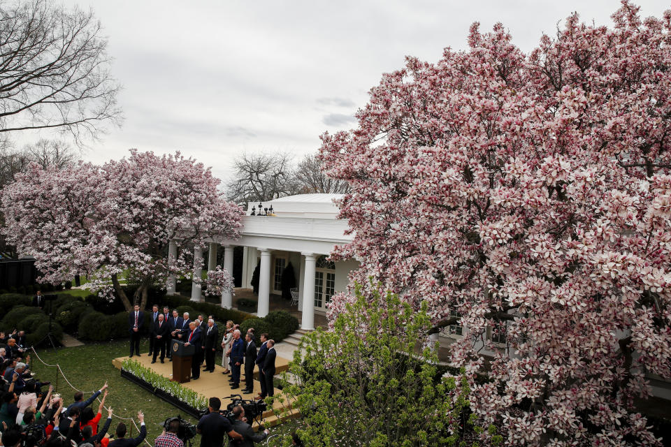 FILE - In this March 13, 2020 file photo, President Donald Trump speaks during a news conference about the coronavirus in the Rose Garden at the White House in Washington. Melania Trump has announced plans to renovate the White House Rose Garden. It's the outdoor space steps away from the Oval Office. (AP Photo/Alex Brandon)