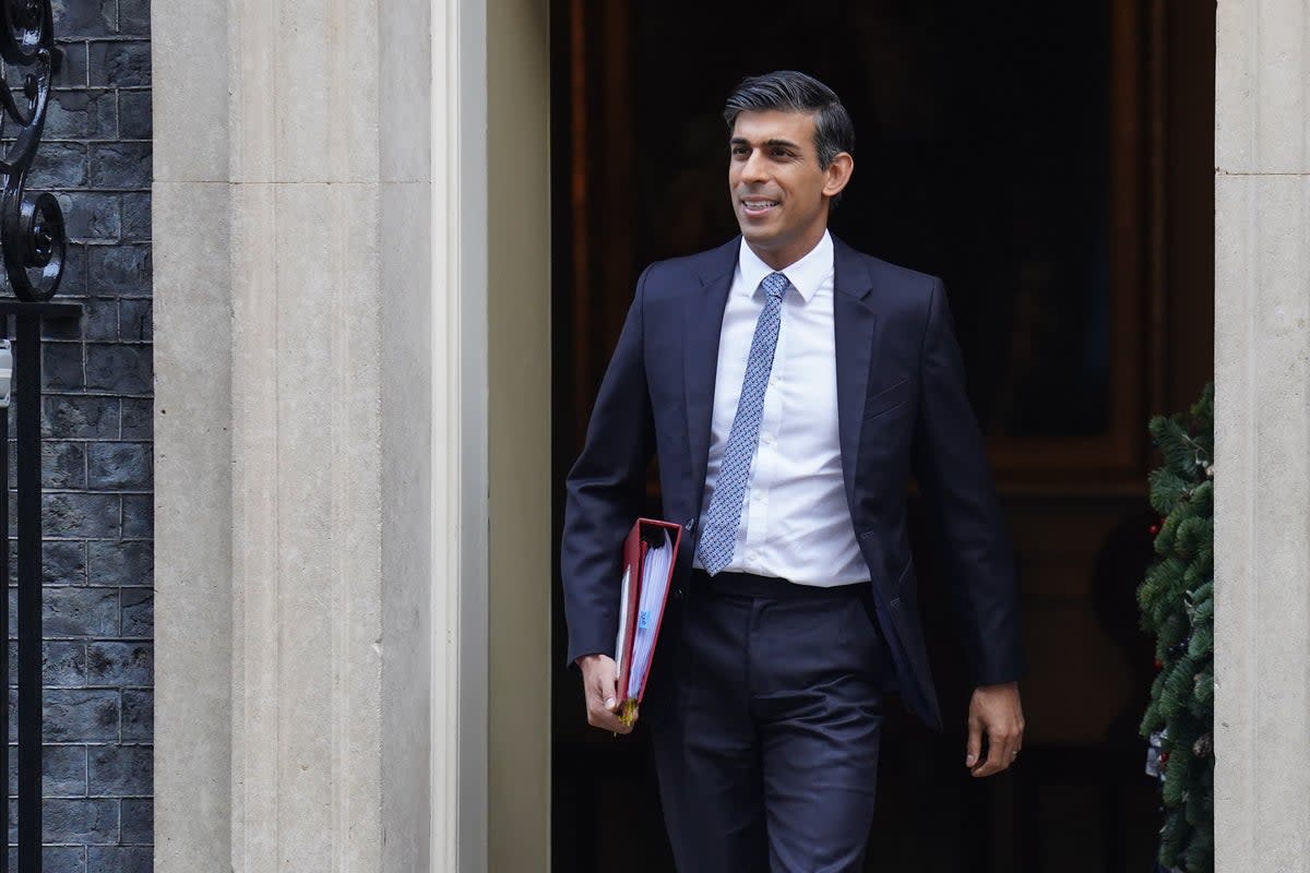 Prime Minister Rishi Sunak (James Manning/PA) (PA Wire)