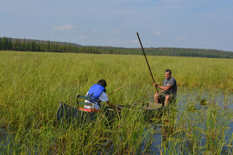 Arlyn Ackley, Jr., vice president for the Sokaogon Mole Lake Tribe takes a young ricer with the Sokaogon manoomin youth camp to harvest wild rice on the reservation.