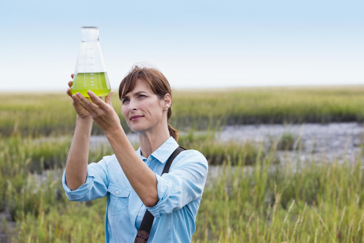 Ropa hecha de algas: el futuro de la moda sustentable crece en los estanques