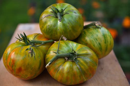 types of tomatoes