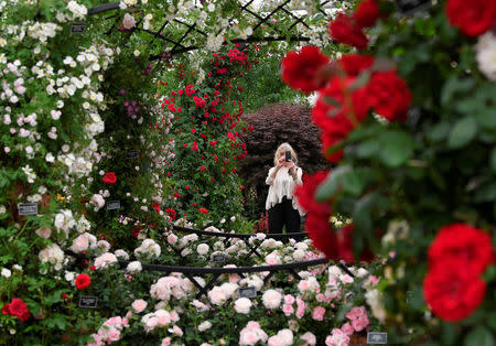 A woman takes photographs at the RHS Chelsea Flower Show in London, Britain, May 21, 2018. REUTERS/Toby Melville