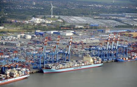 Shipping terminals and containers are pictured in the harbour of the northern German of Bremerhaven on the banks of the river Elbe, late October 8, 2012. REUTERS/Fabian Bimmer