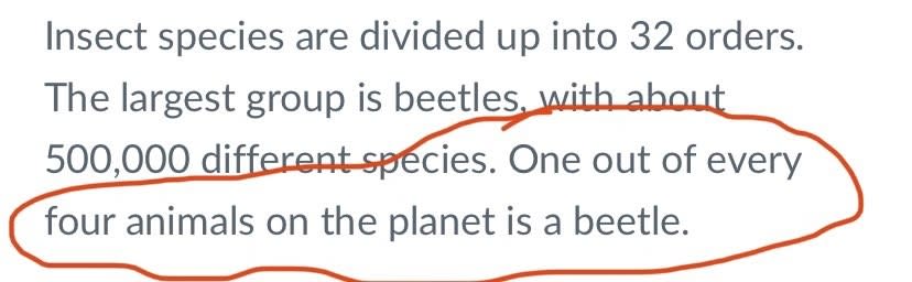 "One out of every four animals on the planet is a beetle."