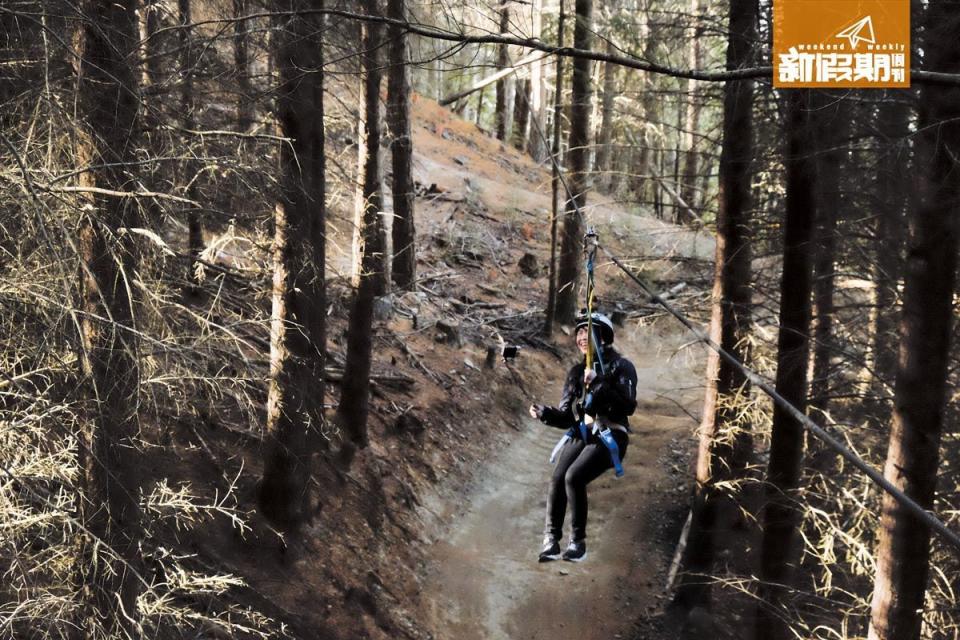 Ziptrek Ecotour