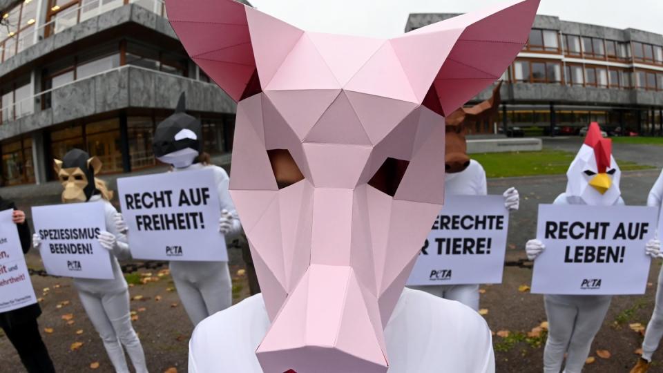 Mit Tiermasken verkleidete Aktivisten der Tierrechtsorganisation Peta protestieren mit Plakaten vor dem Bundesverfassungsgericht.