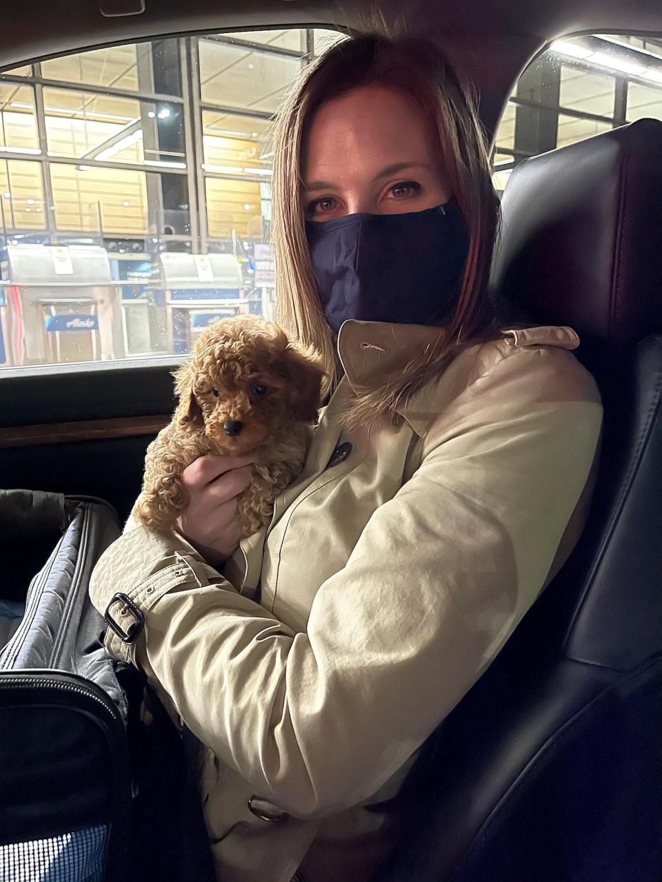 These are photos I took from my first flight as an OFFICIAL flight nanny in November 2020. This is Appa Grande - the red toy poodle who belongs to Frankie Grande and Hale Leon.