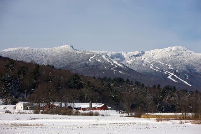 <p>capecodphoto/Getty Images</p>