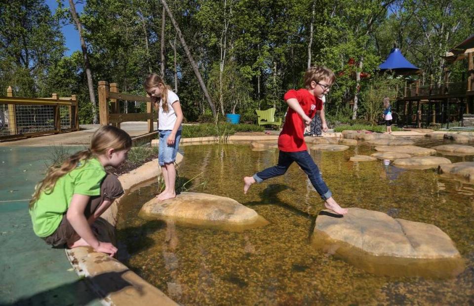 Kids explore the bullfrog pond at Waterfall Junction. Come before the film at Twilight in the Garden to enjoy one of the zoo’s newest features.