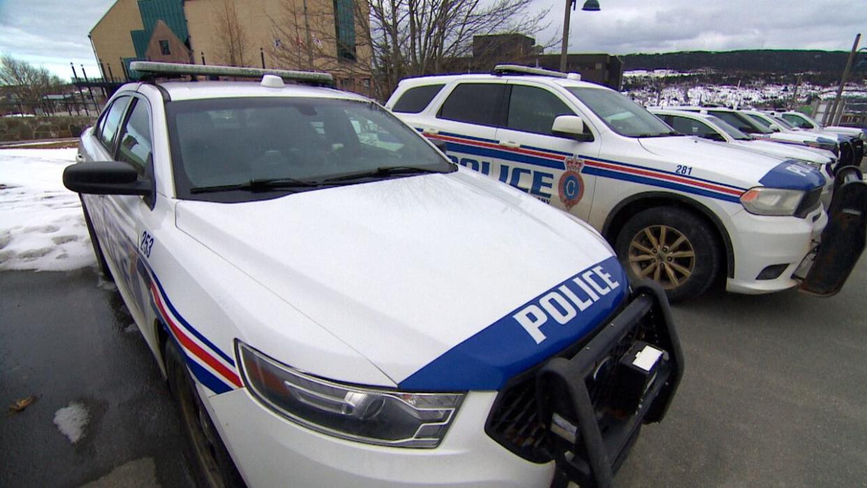 The Royal Newfoundland Constabulary has approximately 420 police officers and 125 civilian employees. (Darryl Murphy/CBC - image credit)