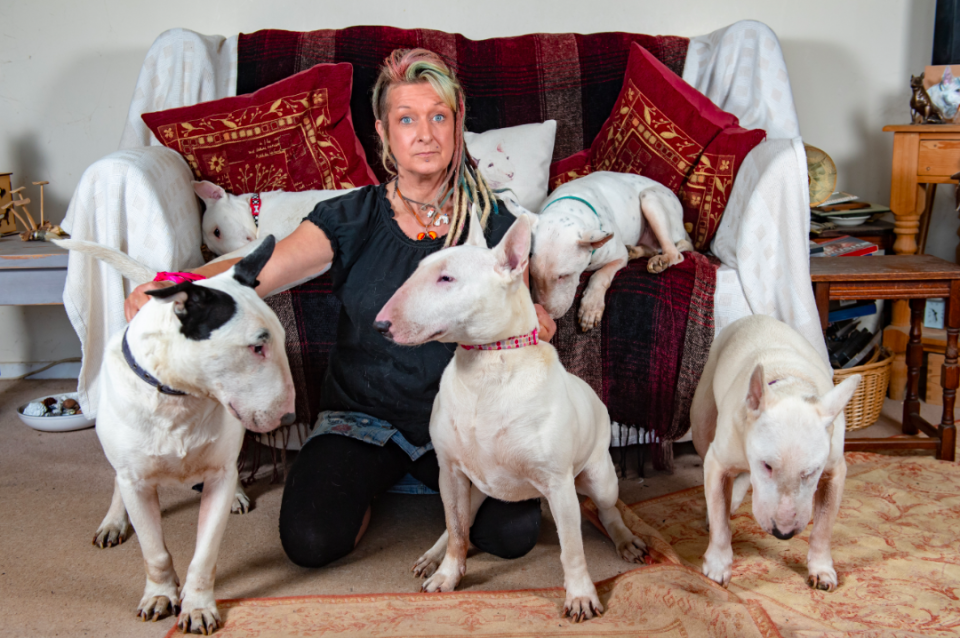 <em>Liz Haslam chose her dogs over her husband of 25 years (SWNS)</em>