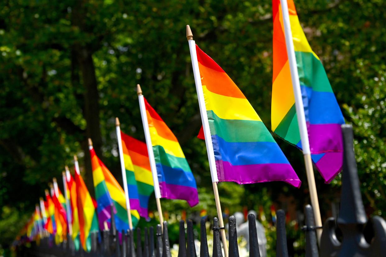 Pride Flags decorate Christopher Park on 20 June 2020 in New York City (Getty Images,)