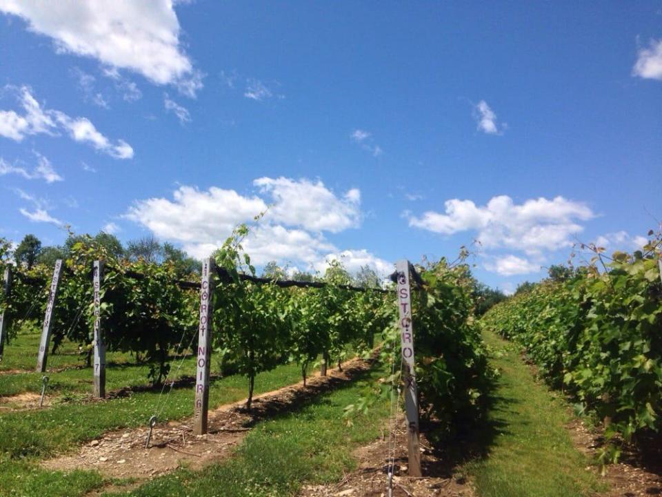 7) Connecticut: Taylor Brooke Winery