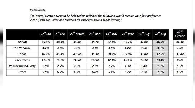 Results from the latest Reachtel poll. Photo: 7 News