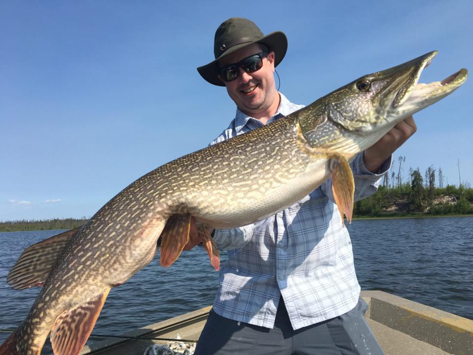 Angler lifts a big pike for a photo