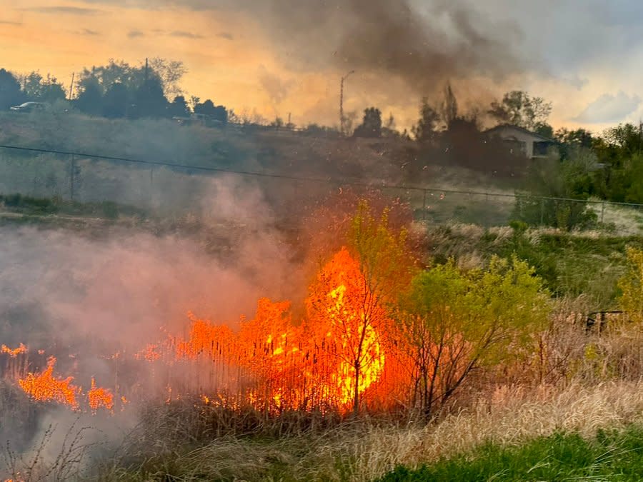 Adams County Fire Rescue said arson investigators were on the scene of a brush fire Saturday evening. (Adams County Fire Rescue)