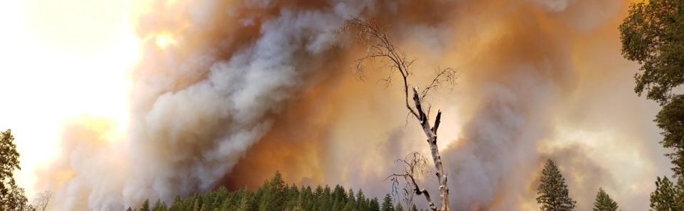 Heavy smoke billowing from the Park Fire is visible along Route 32 mid-afternoon on July 26, 2024.