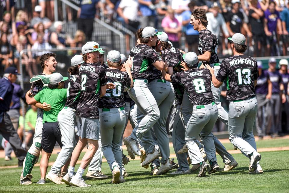 Novi celebrates after beating Woodhaven to win the D1 baseball state championship on Saturday, June 17, 2023, at McLane Stadium on the MSU campus in East Lansing.