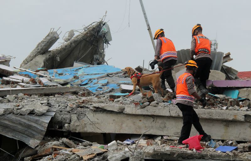 Police with sniffer dog inspect collapsed hospital building following earthquake in Mamuju