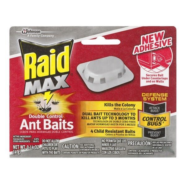 Raid Max Ant Baits (Photo: Amazon)