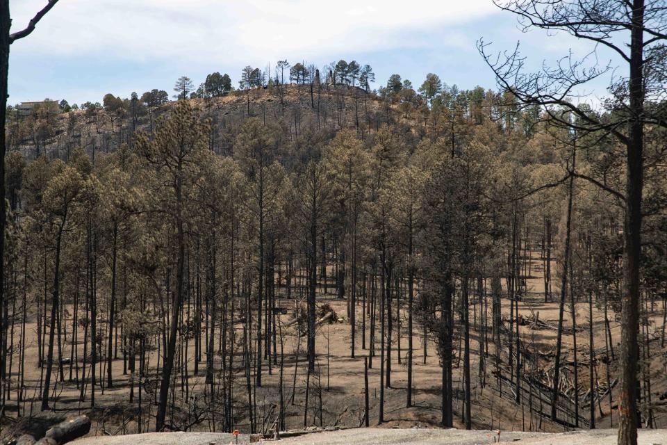 McBride fire burn scars left on hills by Gavilan Canyon Road in Ruidoso on Friday, May 6, 2022.  
