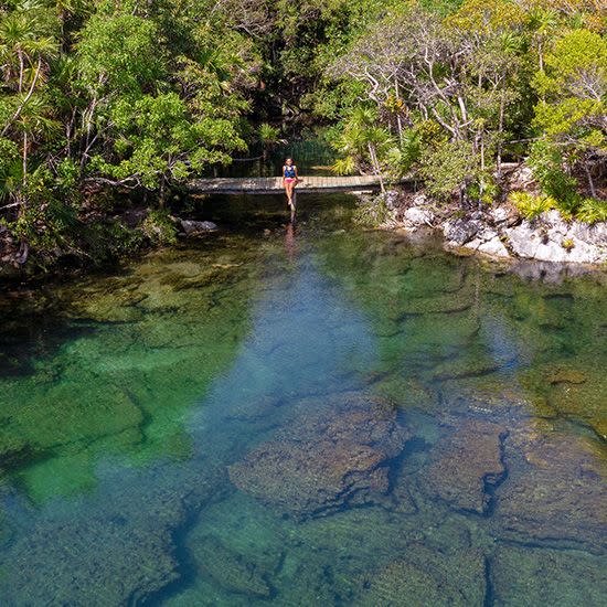 cenote at xel ha in tulum, mexico