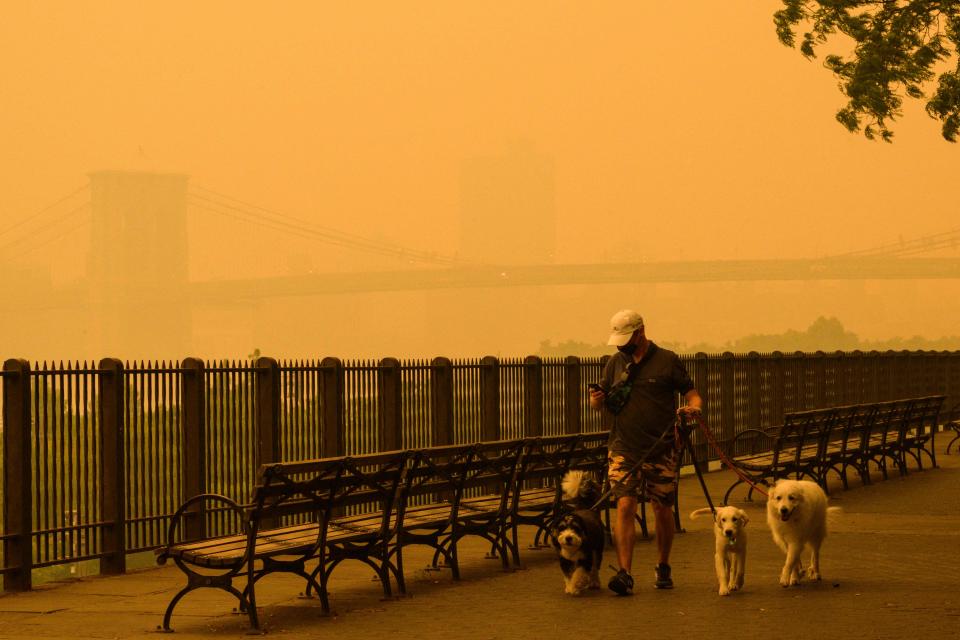 A person walks dogs as smoke from wildfires in Canada cause hazy conditions in New York City on June 7, 2023. An orange-tinged smog caused by Canada's wildfires shrouded New York on Wednesday, obscuring its famous skyscrapers and causing residents to don face masks, as cities along the US East Coast issued air quality alerts. (Photo by ANGELA WEISS / AFP) (Photo by ANGELA WEISS/AFP via Getty Images) ORIG FILE ID: AFP_33HH4NC.jpg