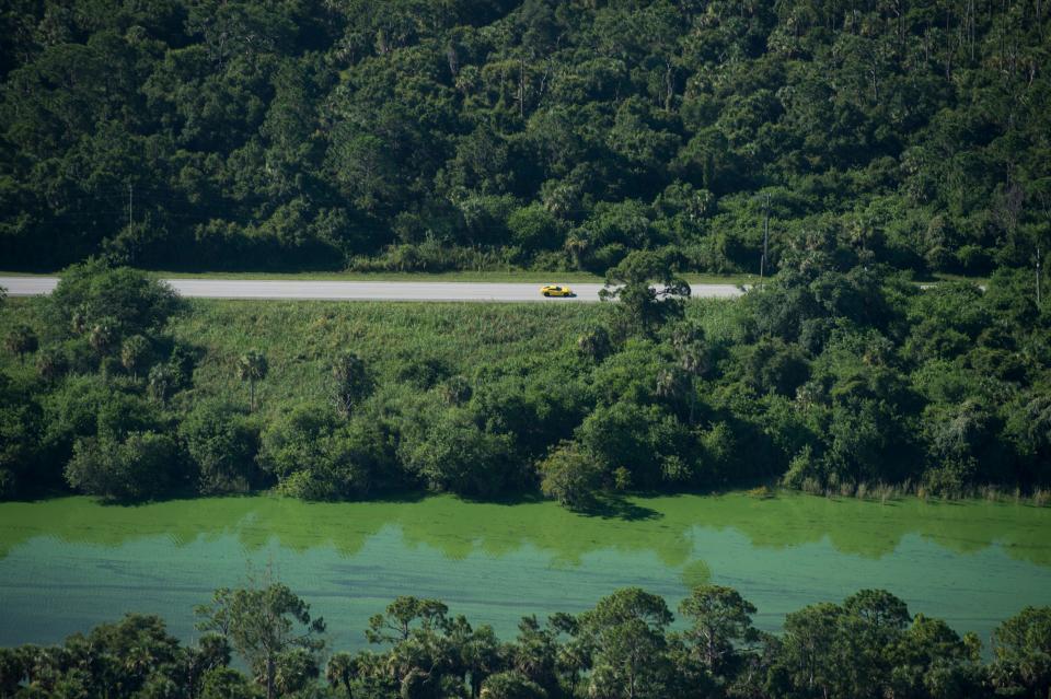 Aerial images show the C-44 Canal covered in algae on Thursday, July 5, 2018.