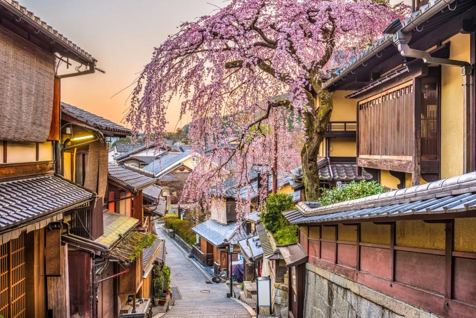 Kyoto, Japan in Spring