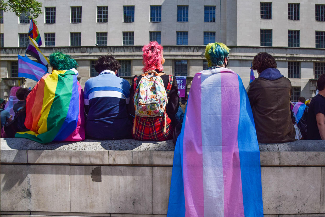 Protesters wrapped in pride and trans pride flagsVuk Valcic/SOPA Images/LightRocket via Getty Images