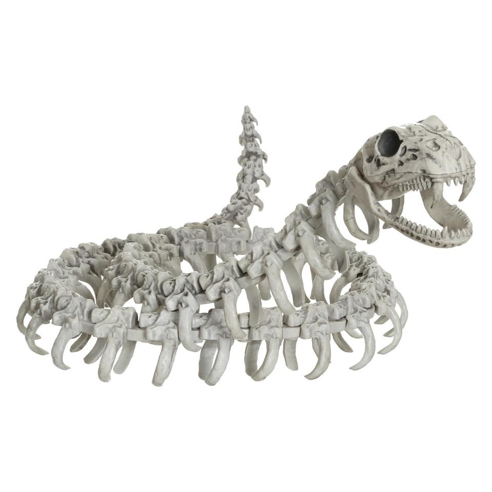 <p>Okay, snakes are scary enough <em>with</em> their skin. This is just…nope.</p> <p><strong>Shop now:</strong> Halloween Skeleton Snake, $10. <a rel="nofollow noopener" href="https://www.target.com/p/halloween-skeleton-snake-hyde-and-eek-boutique-153/-/A-53358972#" target="_blank" data-ylk="slk:target.com;elm:context_link;itc:0;sec:content-canvas" class="link ">target.com</a></p>