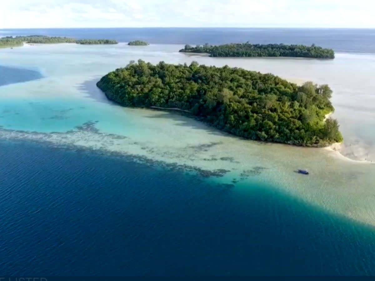 The Widi Reserve, an Indonesian archipelago of over 100 islands, is going to be auctioned (casothebys.com)