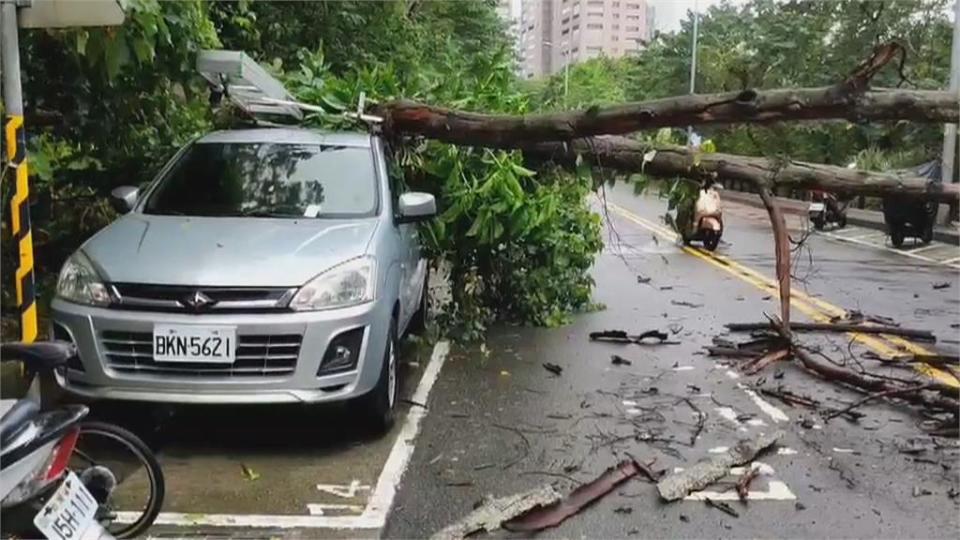 「軒嵐諾」陸警！雙北關水門　加強清溝渠淤泥