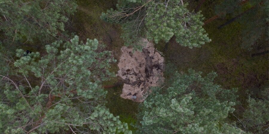 A forest near Bydgoszcz, where the remains of a rocket were found, on April 27, 2023