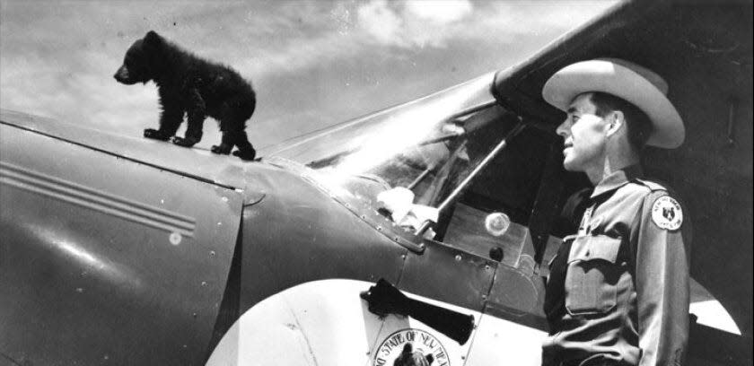 After recovering from his burns in Santa Fe, Smokey Bear was flown in a Piper PA-12 Super Cruiser airplane to the National Zoo in Washington, D.C., where he lived for 26 years. Smokey received so many letters, the U.S. Postal Service granted him his own postal code.