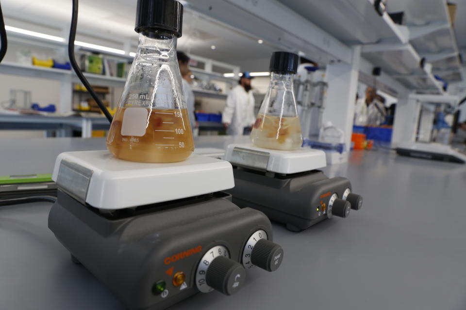 Flasks containing pieces of fruit swirl in flasks on June, 28, 2022, at Hazel Technologies headquarters in Chicago. Hazel is one of several companies that's using science to try to help fruit growers keep their product fresher, especially as consumers demand fresh fruit all year round. The goal is also to prevent food waste and ultimately the release of methane, a greenhouse gas that rotting fruit emits and that impacts the climate. (AP Photo/Martha Irvine)