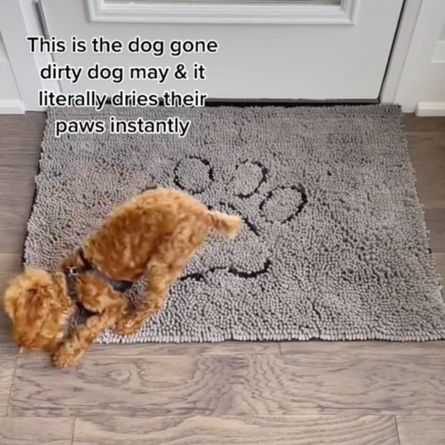 Dog Gone Smart Dirty Dog Doormat, Small Brown