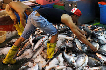 Fishermen sort out their catch at a wet market in Malaysia's southern city of Johor Bahru April 26, 2017. REUTERS/Edgar Su