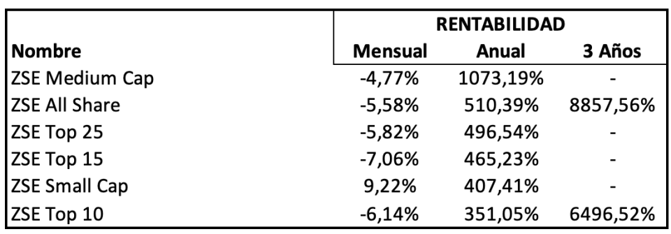 ¿Qué ETFs e índices consiguen superar el 100% o 1000% en el año?