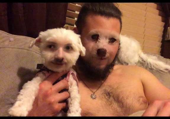 funny animal face swaps