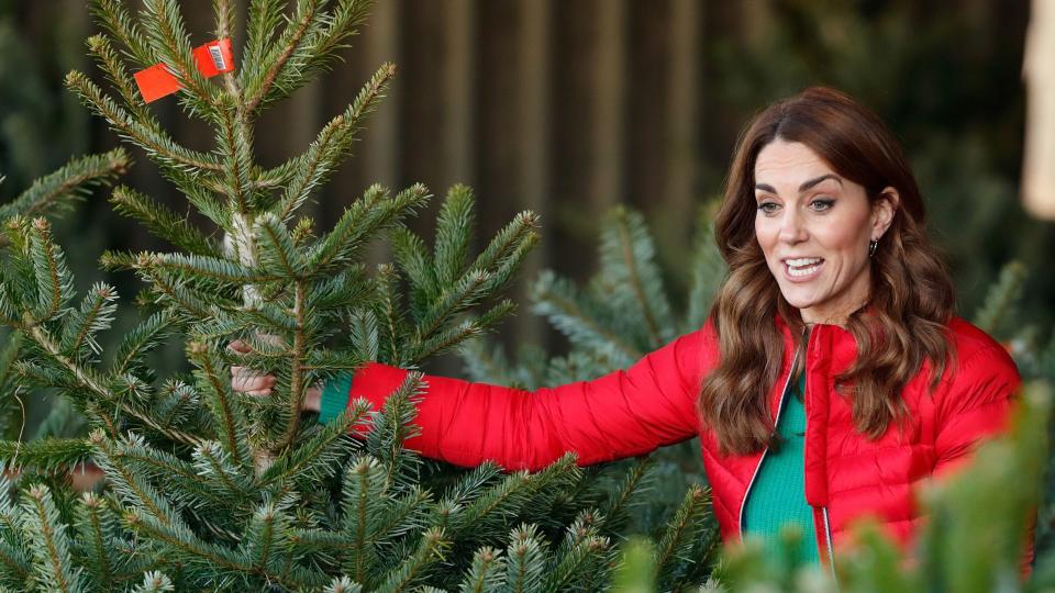 Kate Middleton choosing Christmas trees