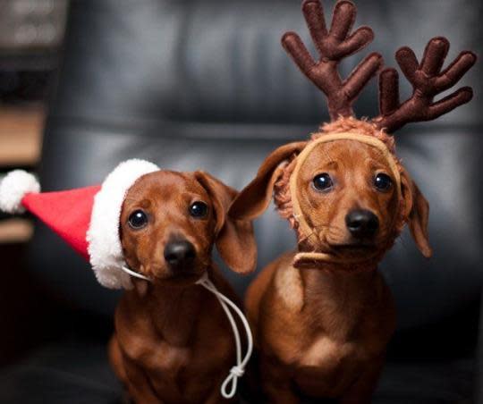 ‚Der Weihnachtsmann kommt durch den Schornstein…?‘