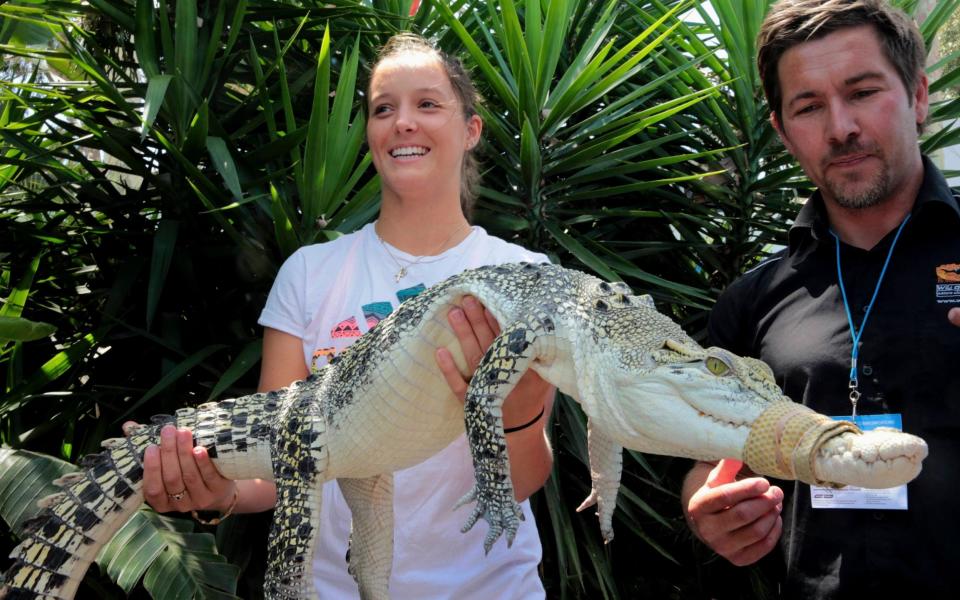 Robson loved the travelling associated with being on tour - here she is holding a saltwater crocodile ahead of 2014's Australian Open - REUTERS