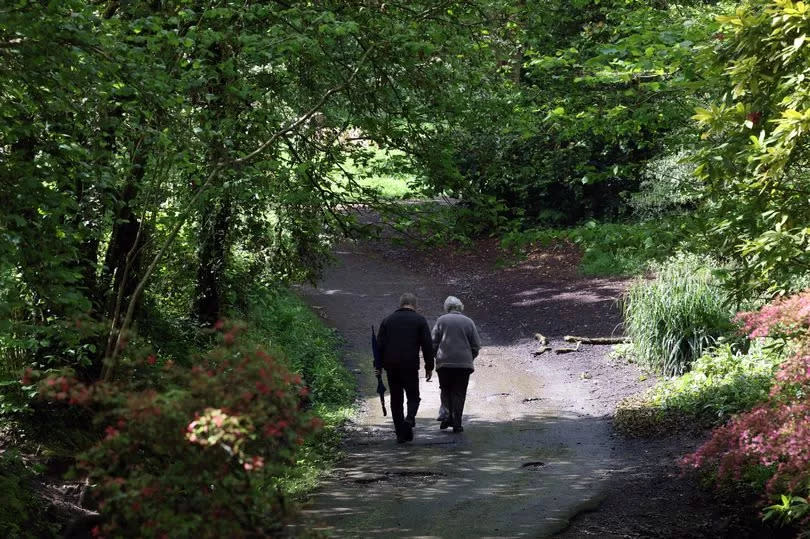 An older couple walk hand-in-hand along a path at Clyne Gardens