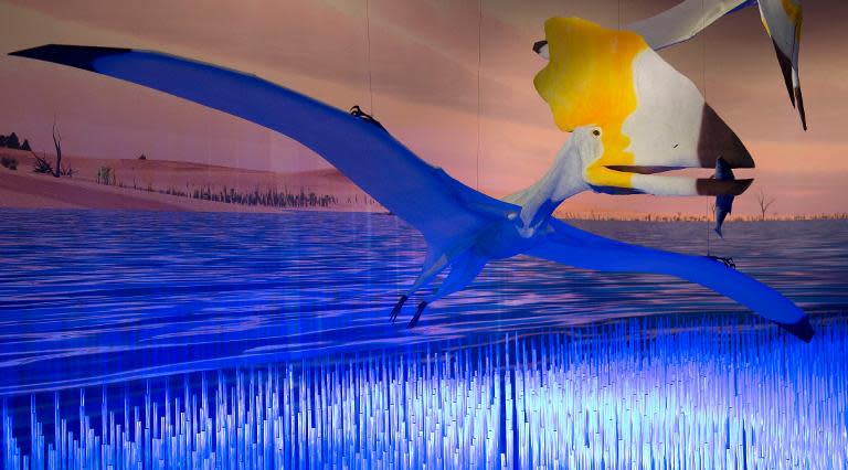 Part of the exhibit called "Pterosaurs: Flight in the Age of Dinosaurs" at a preview April 1, 2014 at the American Museum of Natural History in New York