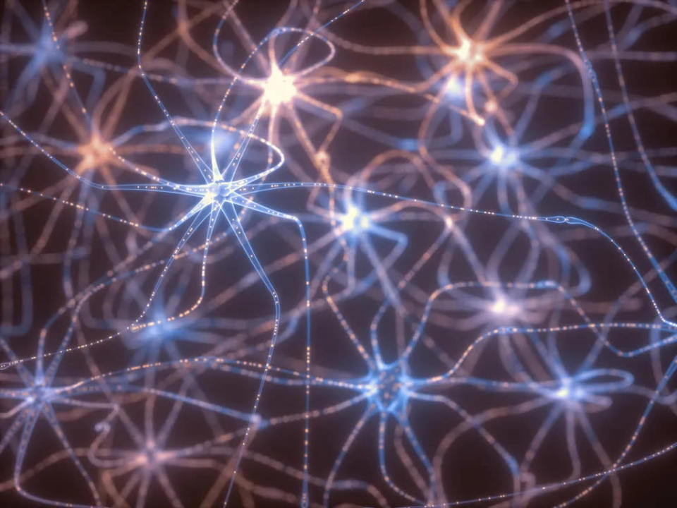 Cientistas descobrem neurônios especializados em velocidade e rotas (Imagem: Ktsimage/Envato Elements)